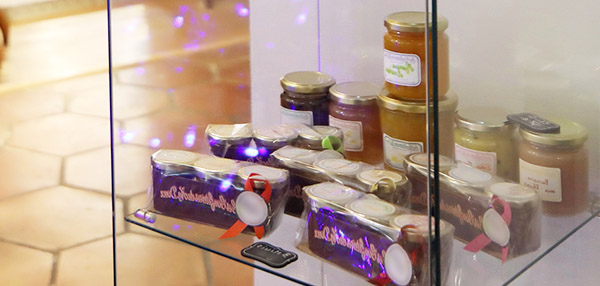  Hotel 2 etoiles albi